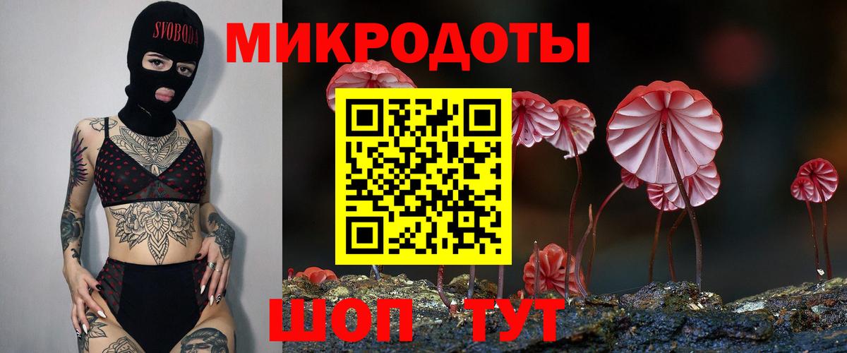 Богородицк  Галлюциногенные грибы Magic Shrooms  купить  цена  Вход с VPN 